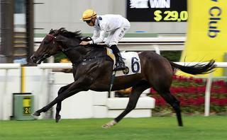 Golden Sixty (Medaglia d’Oro) scores a classy win in the Group Three Celebration Cup (1400m) at Sha Tin.